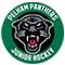 Pelham Panthers logo
