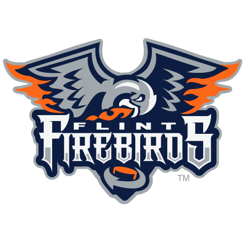 Flint Firebirds logo