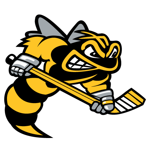 Sarnia Sting logo